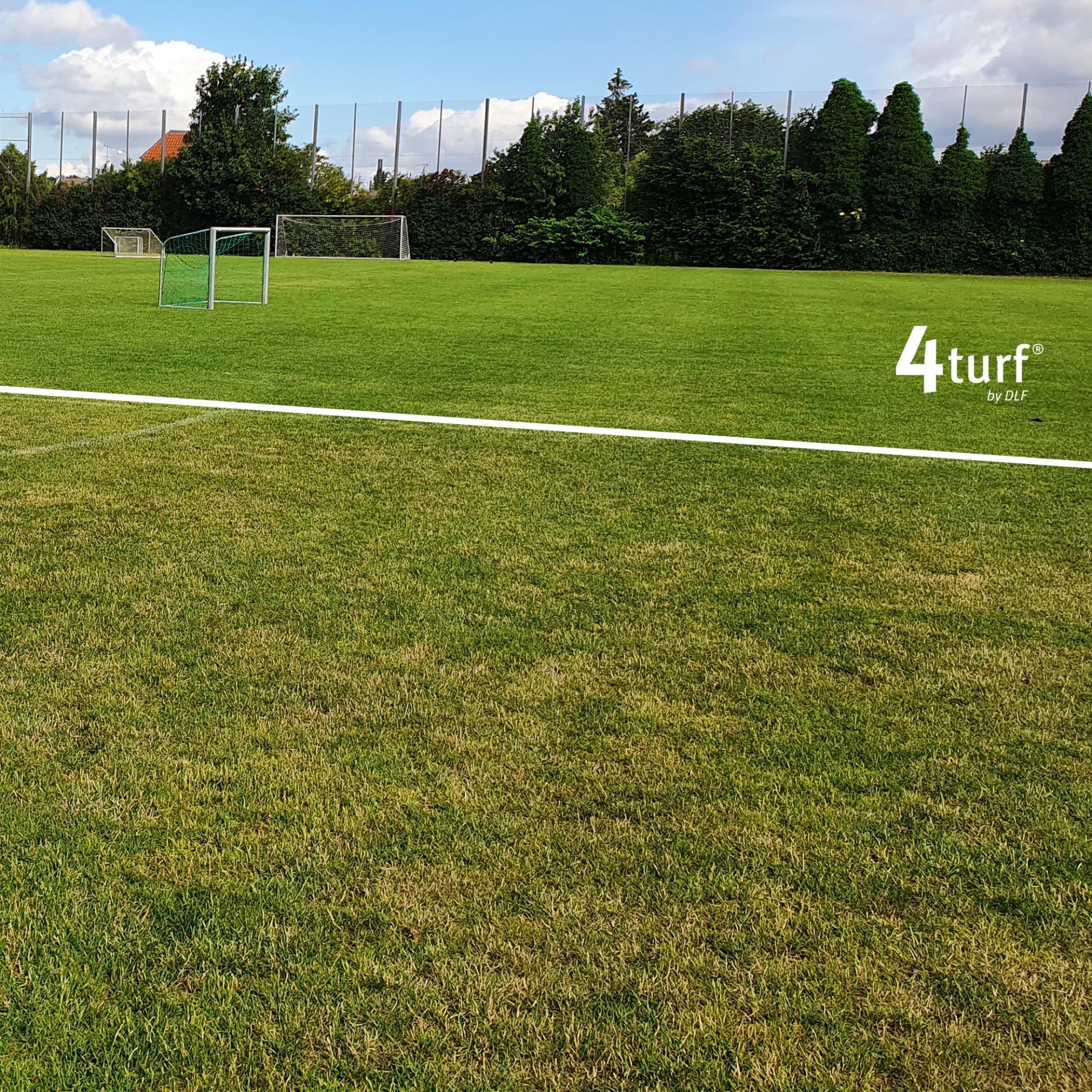 Protect your turf from drought with 4turf