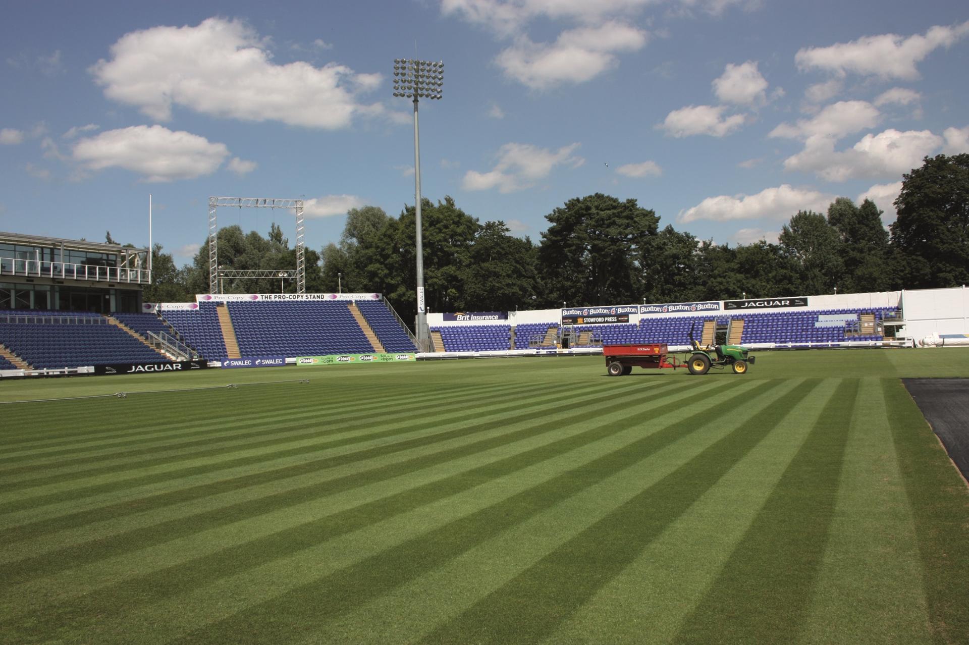 MM Seed to be showcased at GroundsFest