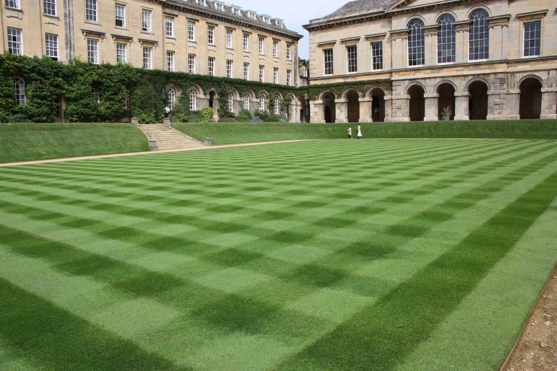 MM Grass Seed Is A Winner For Worcester